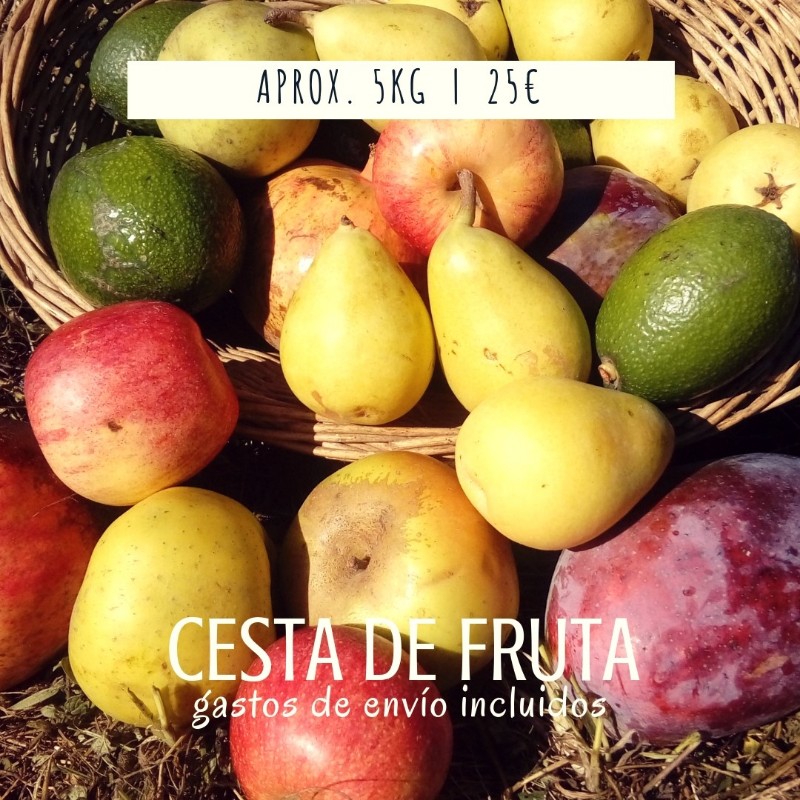 cesta-de-fruta-de-temporada1 cesta-de-fruta-de-temporada1